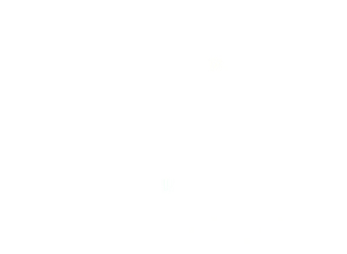 The Pines
